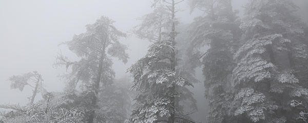 1月去西岭雪山天气_西岭雪山一月温度_西岭雪山一月的平均气温