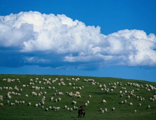 内蒙古草原的自然风光