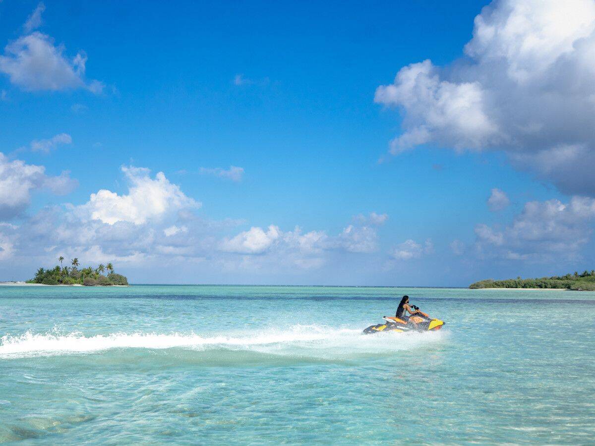 马尔代夫珊瑚礁之旅，探索美丽海洋的珍贵宝藏，海洋宝藏